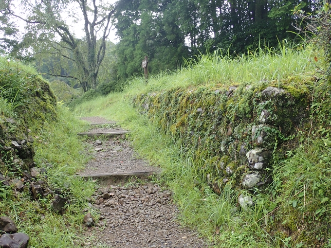 番外編_和歌山_熊野古道_伏拝王子　No27