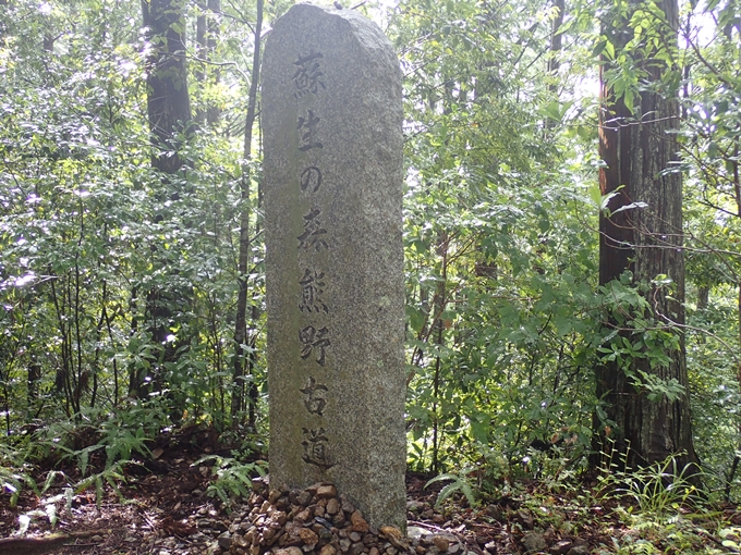 番外編_和歌山_熊野古道_伏拝王子　No37