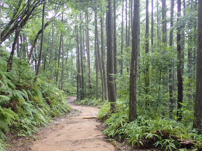 番外編_和歌山_熊野古道_伏拝王子　No42