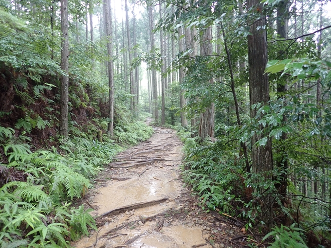 番外編_和歌山_熊野古道_伏拝王子　No56