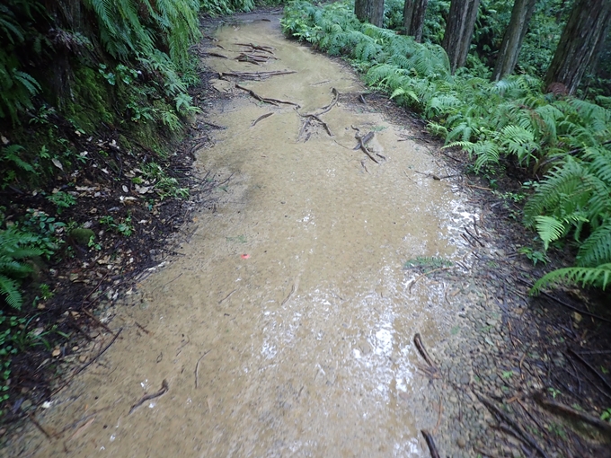 番外編_和歌山_熊野古道_伏拝王子　No61