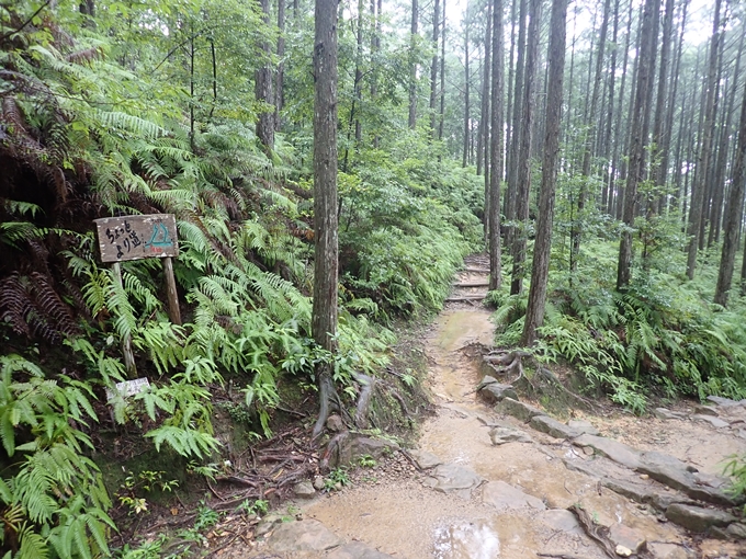 番外編_和歌山_熊野古道_伏拝王子　No63