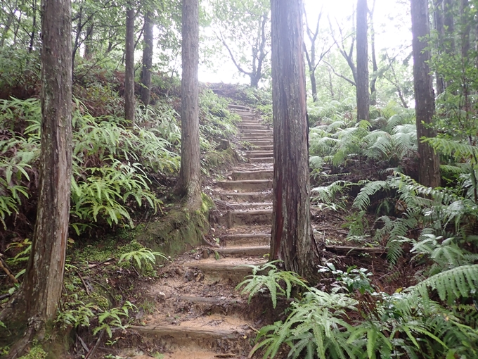 番外編_和歌山_熊野古道_伏拝王子　No66