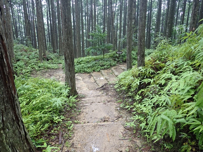 番外編_和歌山_熊野古道_伏拝王子　No73