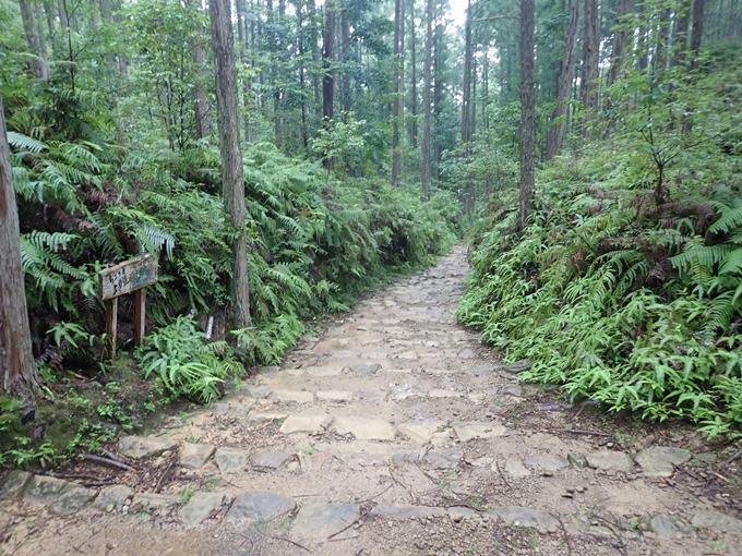 番外編_和歌山_熊野古道_伏拝王子　No74