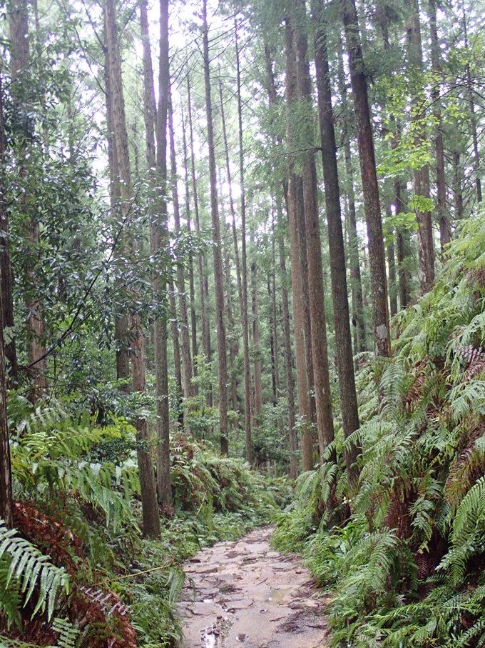 番外編_和歌山_熊野古道_伏拝王子　No76