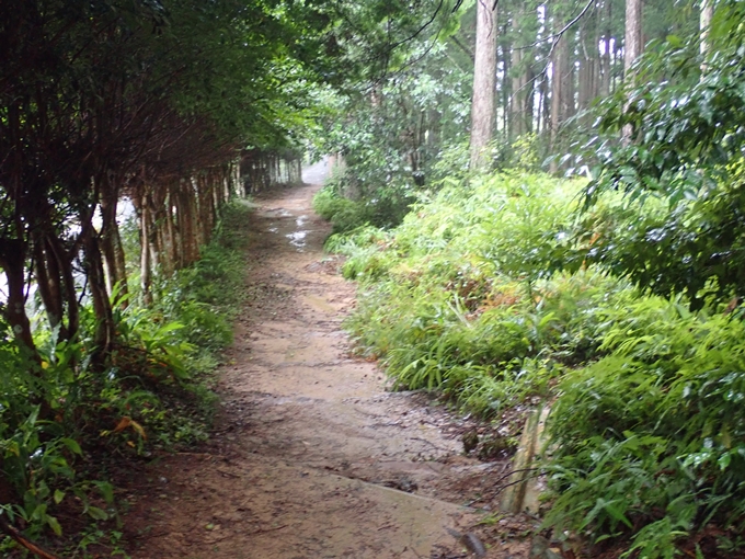 番外編_和歌山_熊野古道_伏拝王子　No78