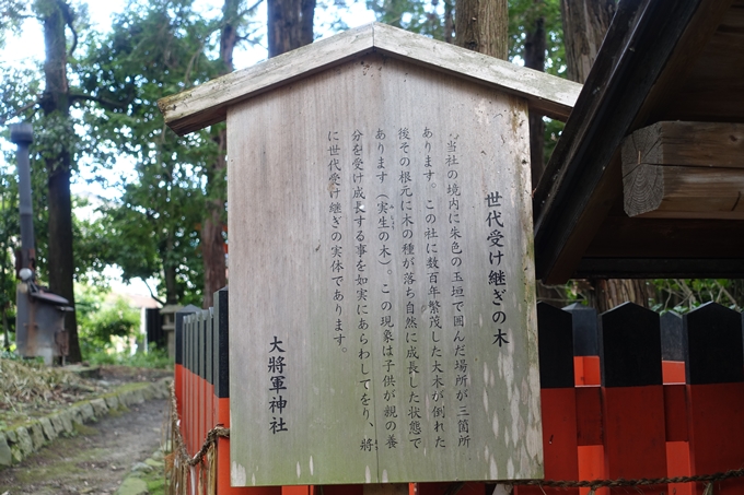 大将軍神社_西賀茂　No25