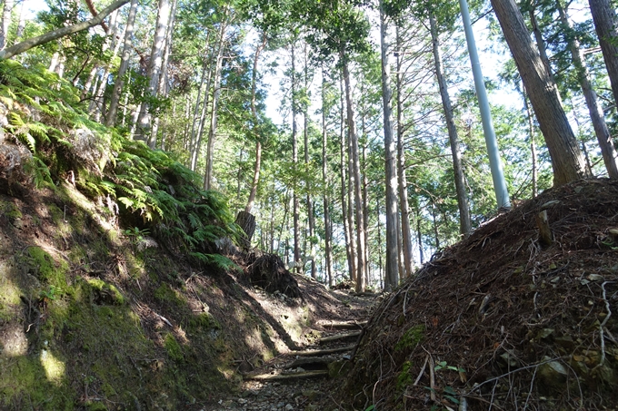 愛宕山_空也滝_月輪寺　No60