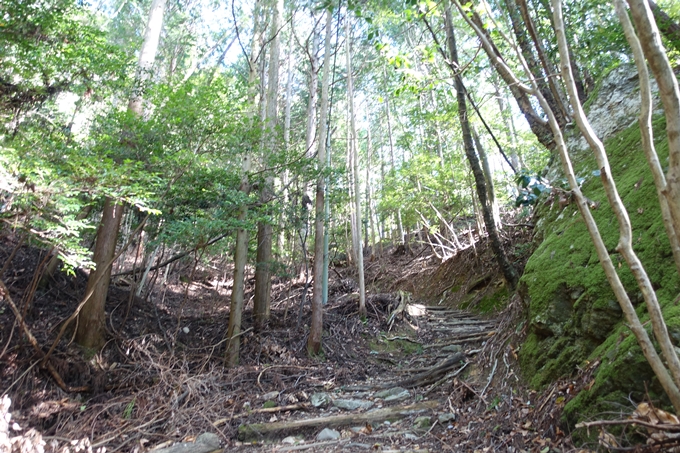 愛宕山_空也滝_月輪寺　No65