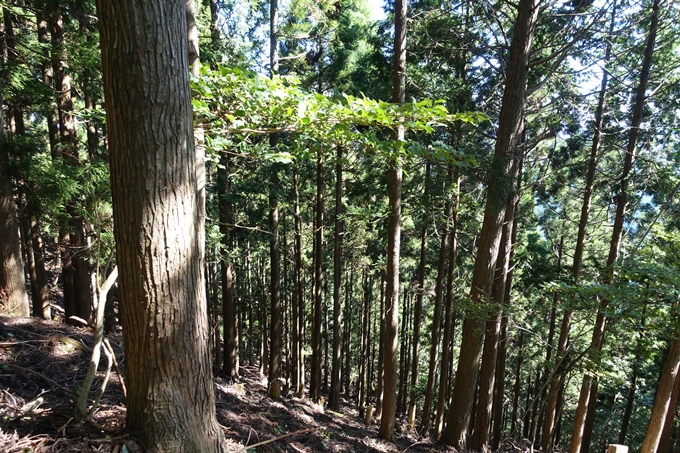 愛宕山_空也滝_月輪寺　No89