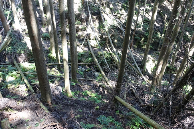 愛宕山_荒神峠　No53