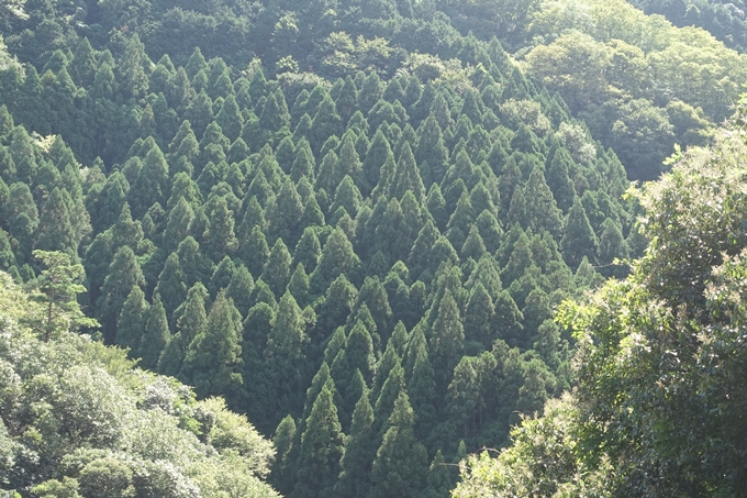 愛宕山_荒神峠　No82