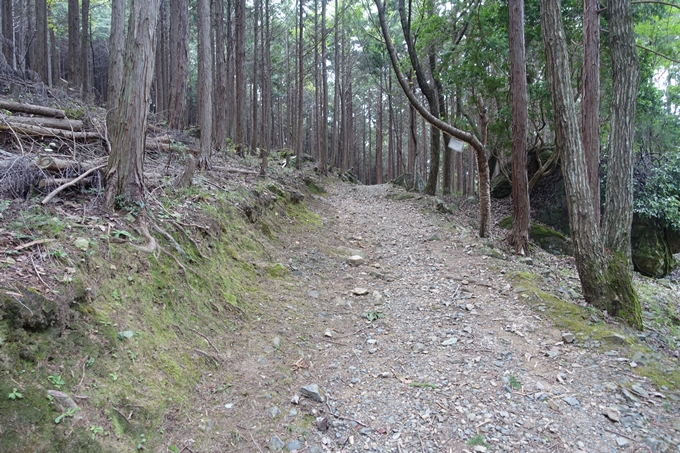 番外編_大阪_剣尾山_横尾山　No16