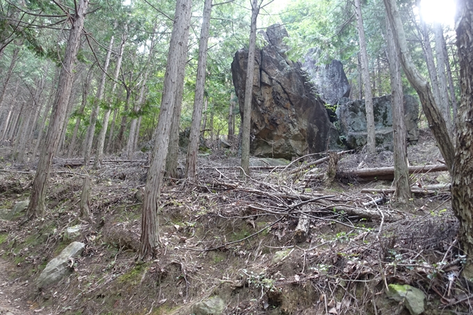 番外編_大阪_剣尾山_横尾山　No20