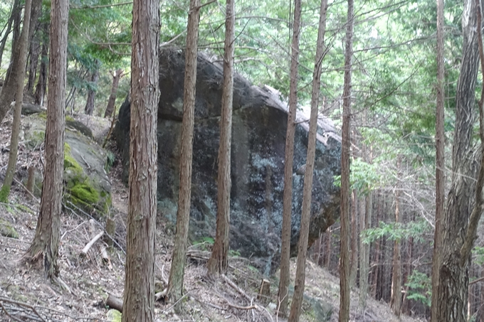 番外編_大阪_剣尾山_横尾山　No21