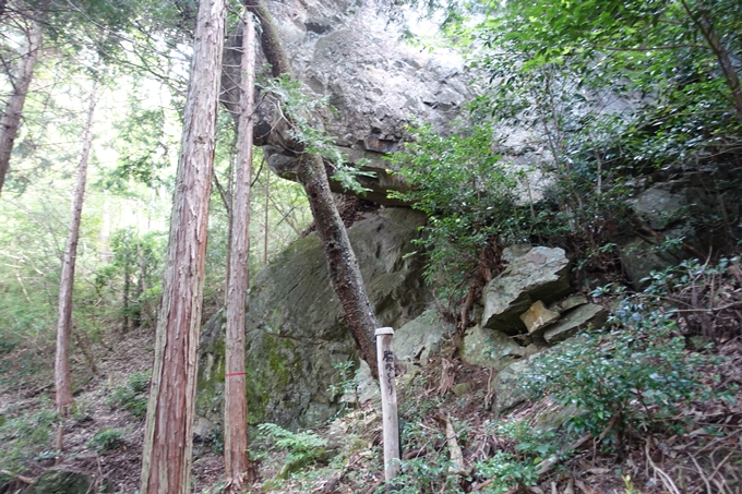 番外編_大阪_剣尾山_横尾山　No27