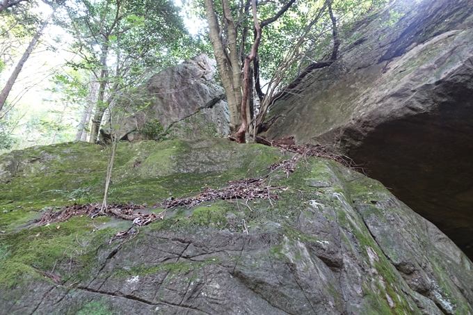 番外編_大阪_剣尾山_横尾山　No29