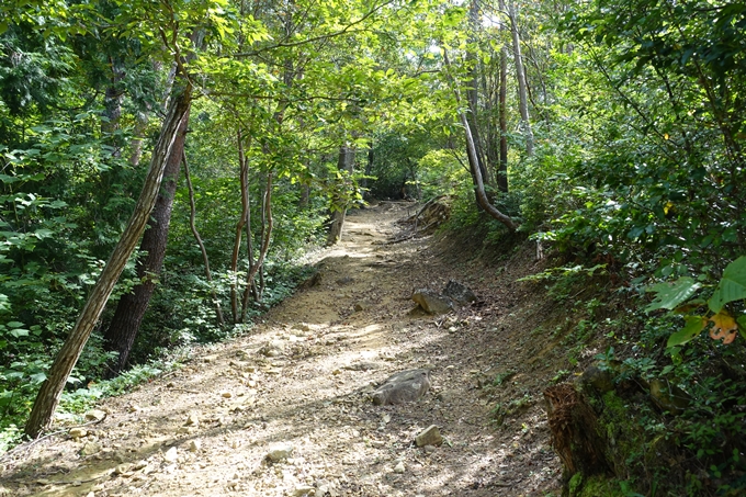 番外編_大阪_剣尾山_横尾山　No44