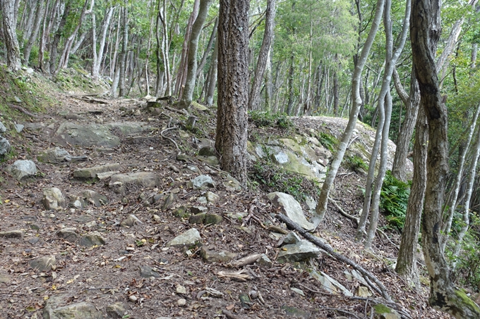 番外編_大阪_剣尾山_横尾山　No47