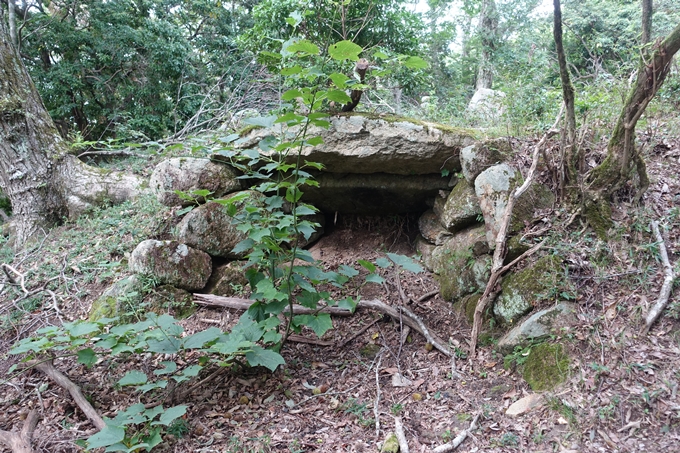 番外編_大阪_剣尾山_横尾山　No60