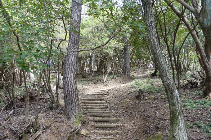 番外編_大阪_剣尾山_横尾山　No72