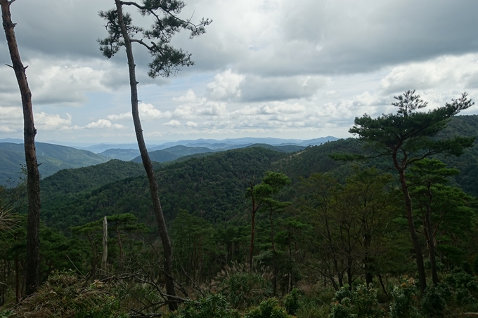 番外編_大阪_剣尾山_横尾山　No84