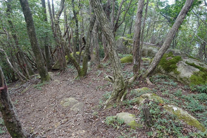 番外編_大阪_剣尾山_横尾山　No95