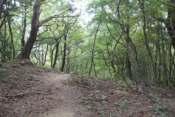 番外編_大阪_剣尾山_横尾山　No97