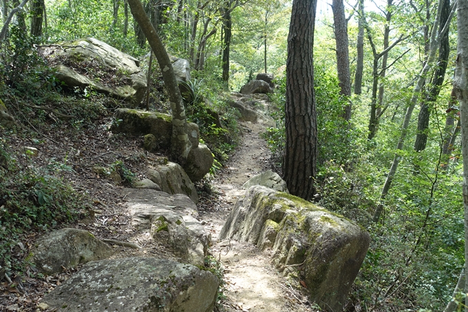 番外編_大阪_剣尾山_横尾山　No98