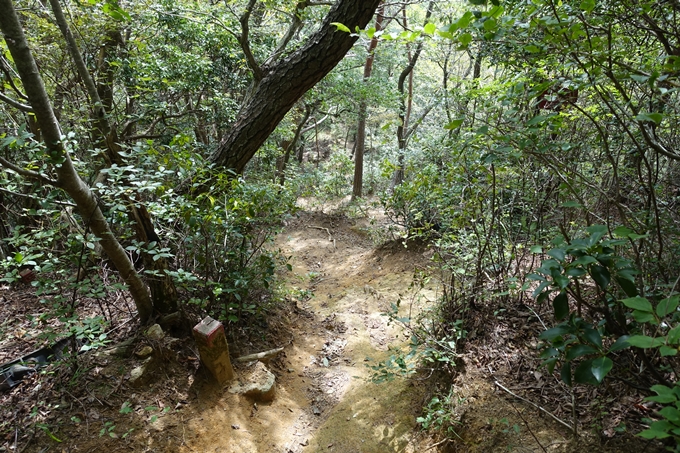 番外編_大阪_剣尾山_横尾山　No107