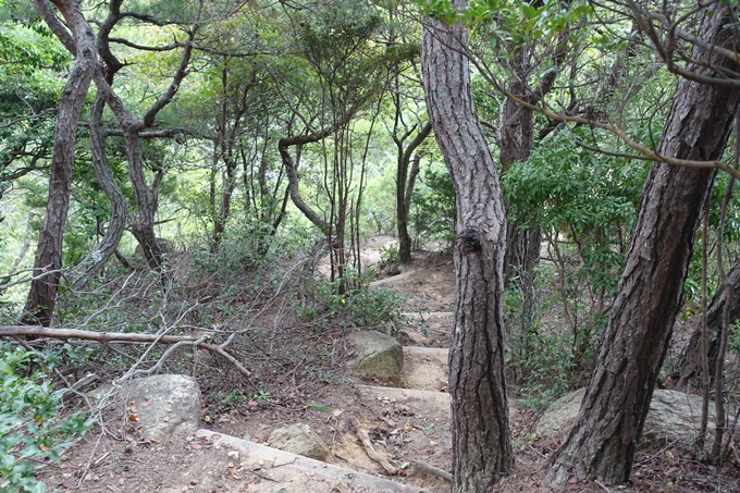 番外編_大阪_剣尾山_横尾山　No111