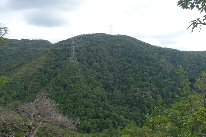 番外編_大阪_剣尾山_横尾山　No112