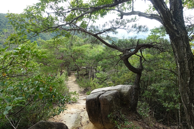 番外編_大阪_剣尾山_横尾山　No113