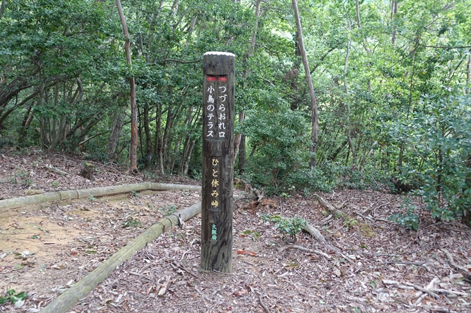 番外編_大阪_剣尾山_横尾山　No127