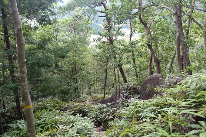 番外編_大阪_剣尾山_横尾山　No128