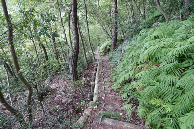 番外編_大阪_剣尾山_横尾山　No129