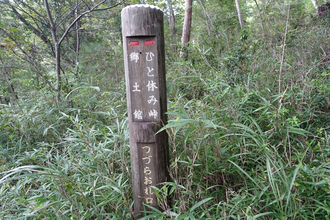 番外編_大阪_剣尾山_横尾山　No132