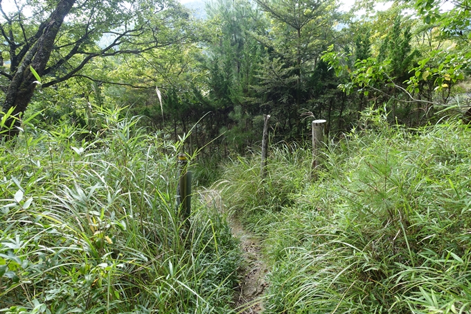 番外編_大阪_剣尾山_横尾山　No133