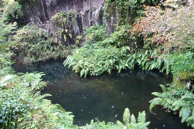 番外編_九州_宮崎県_高千穂峡　No26