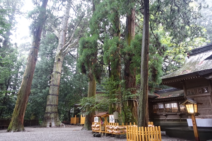 番外編_九州_宮崎県_高千穂神社_天岩戸神社　No16