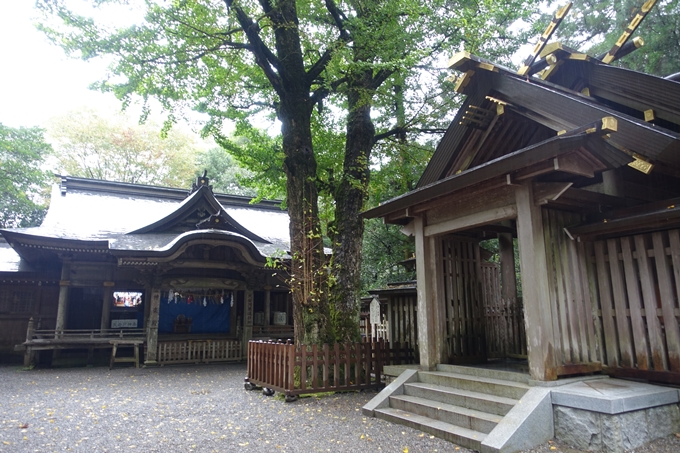 番外編_九州_宮崎県_高千穂神社_天岩戸神社　No51