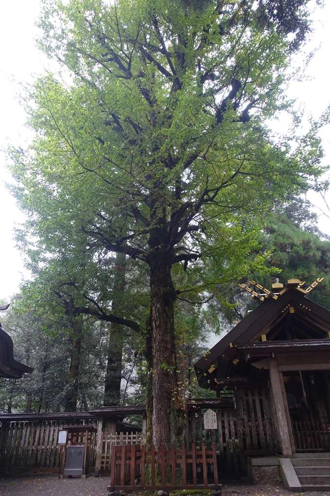 番外編_九州_宮崎県_高千穂神社_天岩戸神社　No60