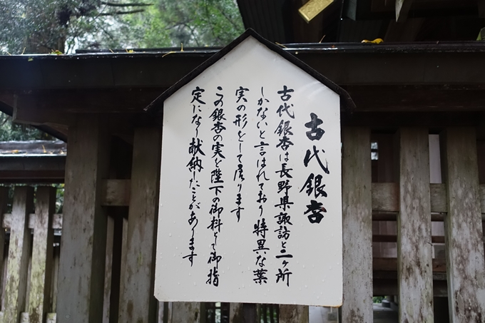 番外編_九州_宮崎県_高千穂神社_天岩戸神社　No61