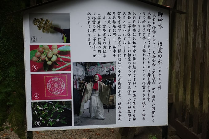 番外編_九州_宮崎県_高千穂神社_天岩戸神社　No66