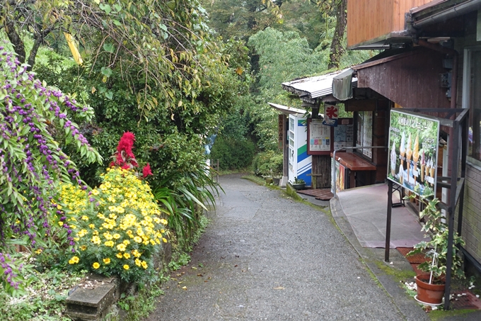 番外編_九州_宮崎県_高千穂神社_天岩戸神社　No69