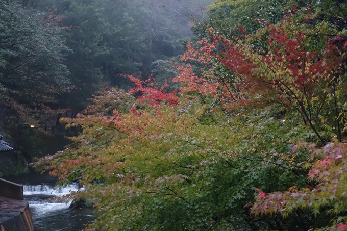 番外編_九州_熊本県_黒川温泉_押戸石の丘　No19