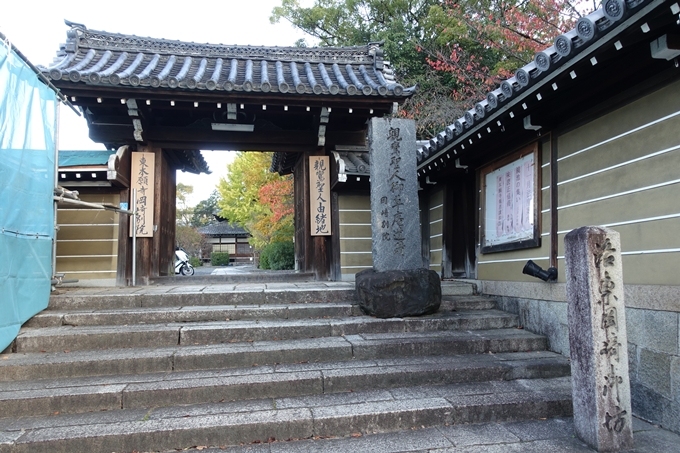 京都_紅葉情報_2019_05　岡崎別院　No2