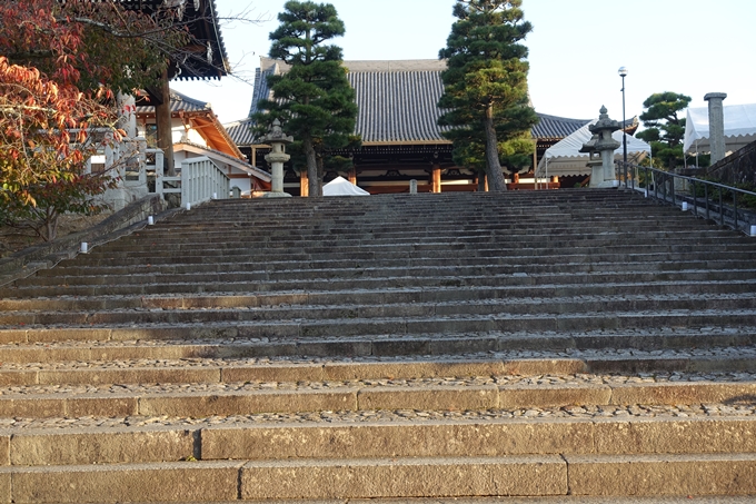 京都_紅葉情報_2019_06　金戒光明寺　No14