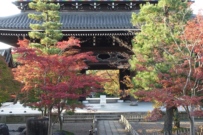 京都_紅葉情報_2019_06　金戒光明寺　No15